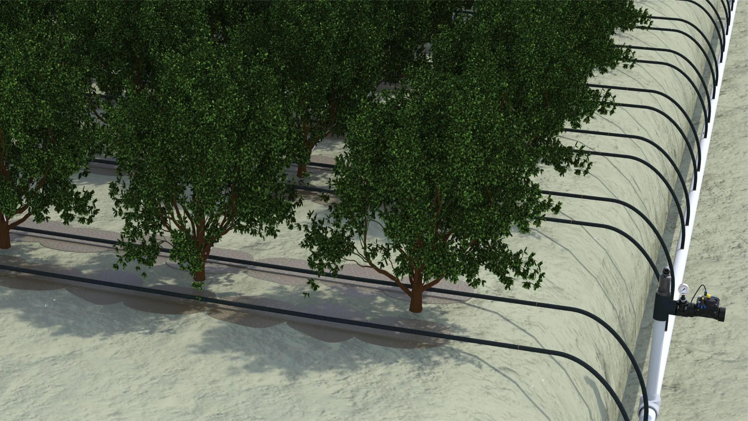Collective Irrigation Communities